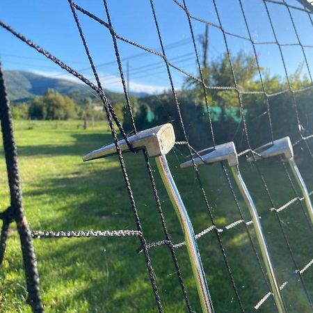Apartmán Quinta Do Alagao Coja Exteriér fotografie